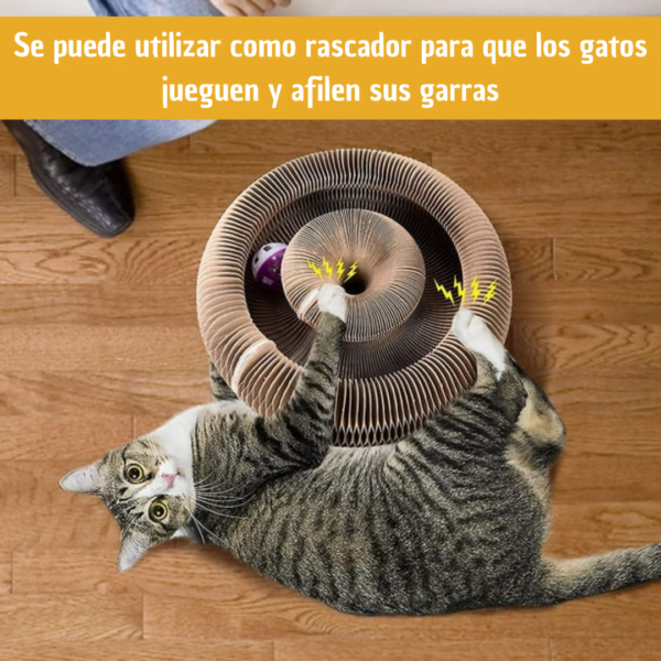 6589b3e2d64982157f68b39376699a86