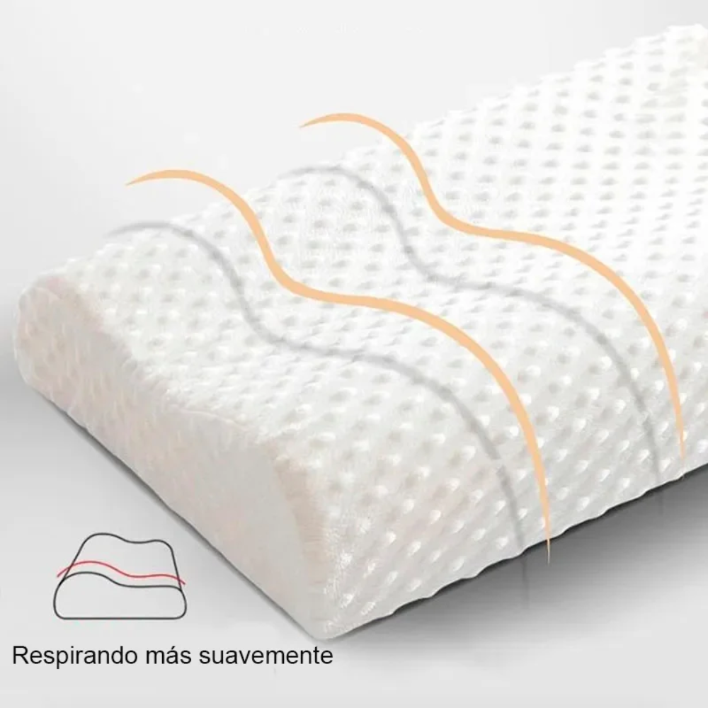 Design sem nome 2024 10 11T165945.077