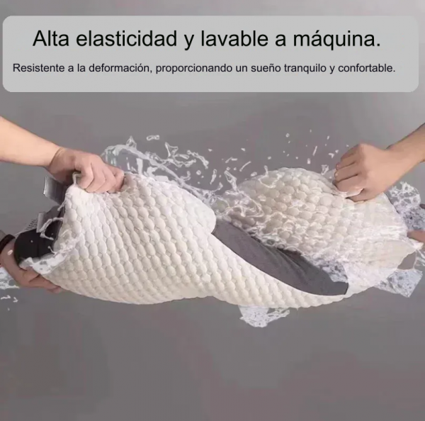 translated image es 2024 10 11T162124.091