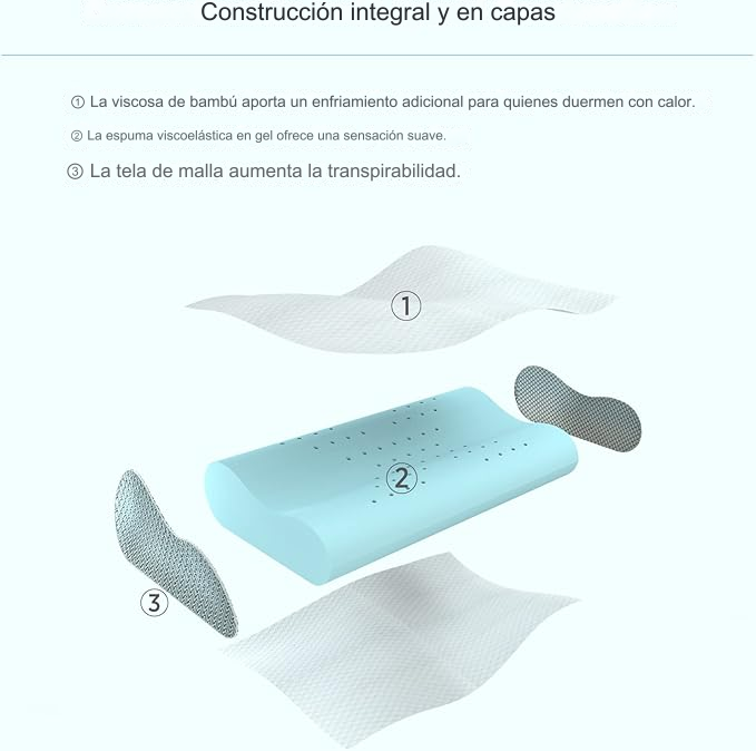 translated image es 2024 10 24T115751.718