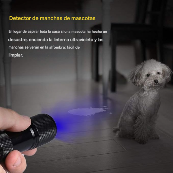 Design sem nome 51