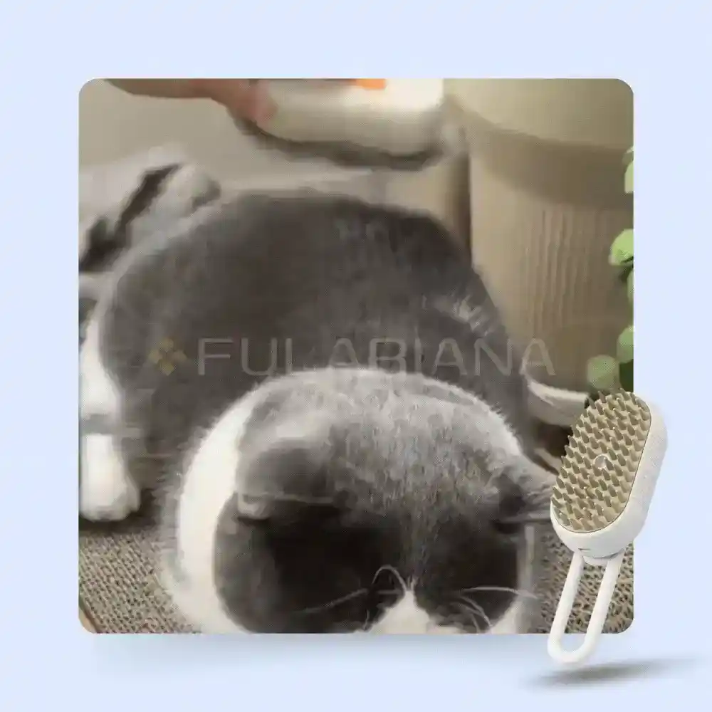 GIF CEPILLOMASCOTAVICENTE ezgif.com optiwebp