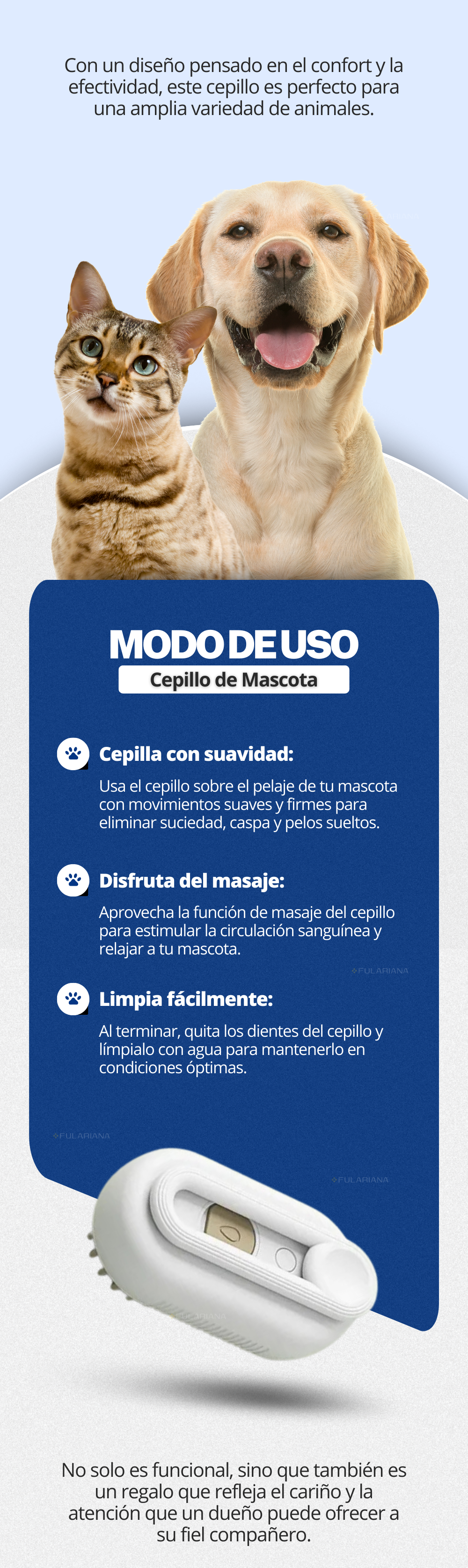 LP CEPILLO MASCOTA VICENTE PART 2